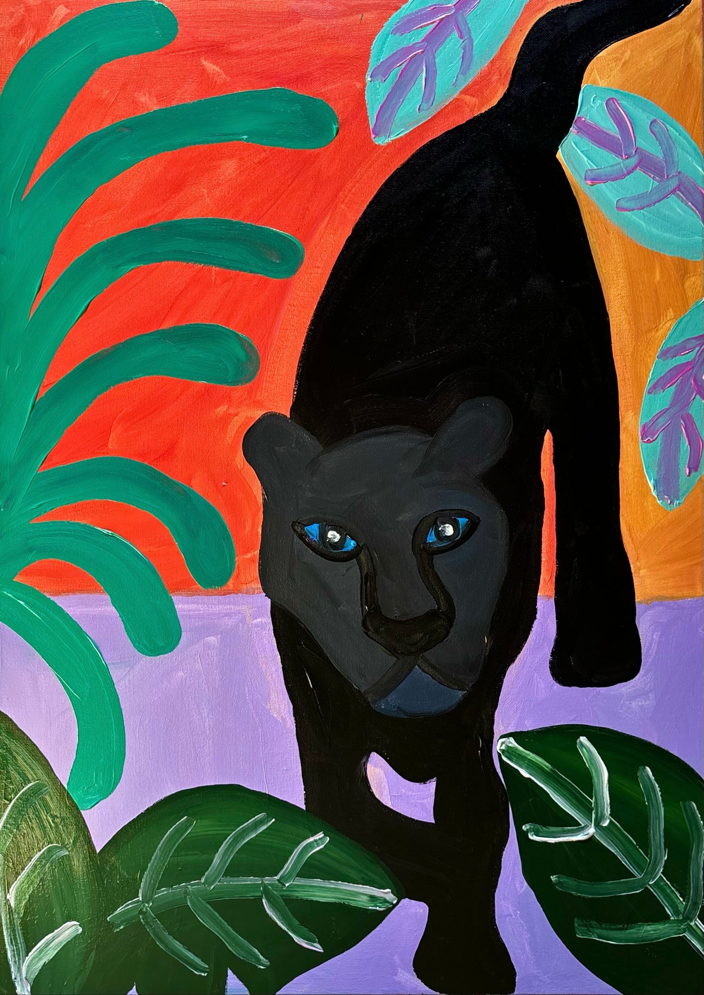 The panther searching